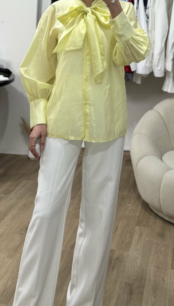 Chemise Papillon de Soie – Image 2