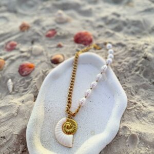 Collier Coquillage Bicolore