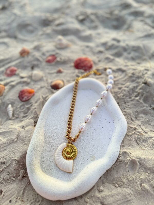 Collier Coquillage Bicolore